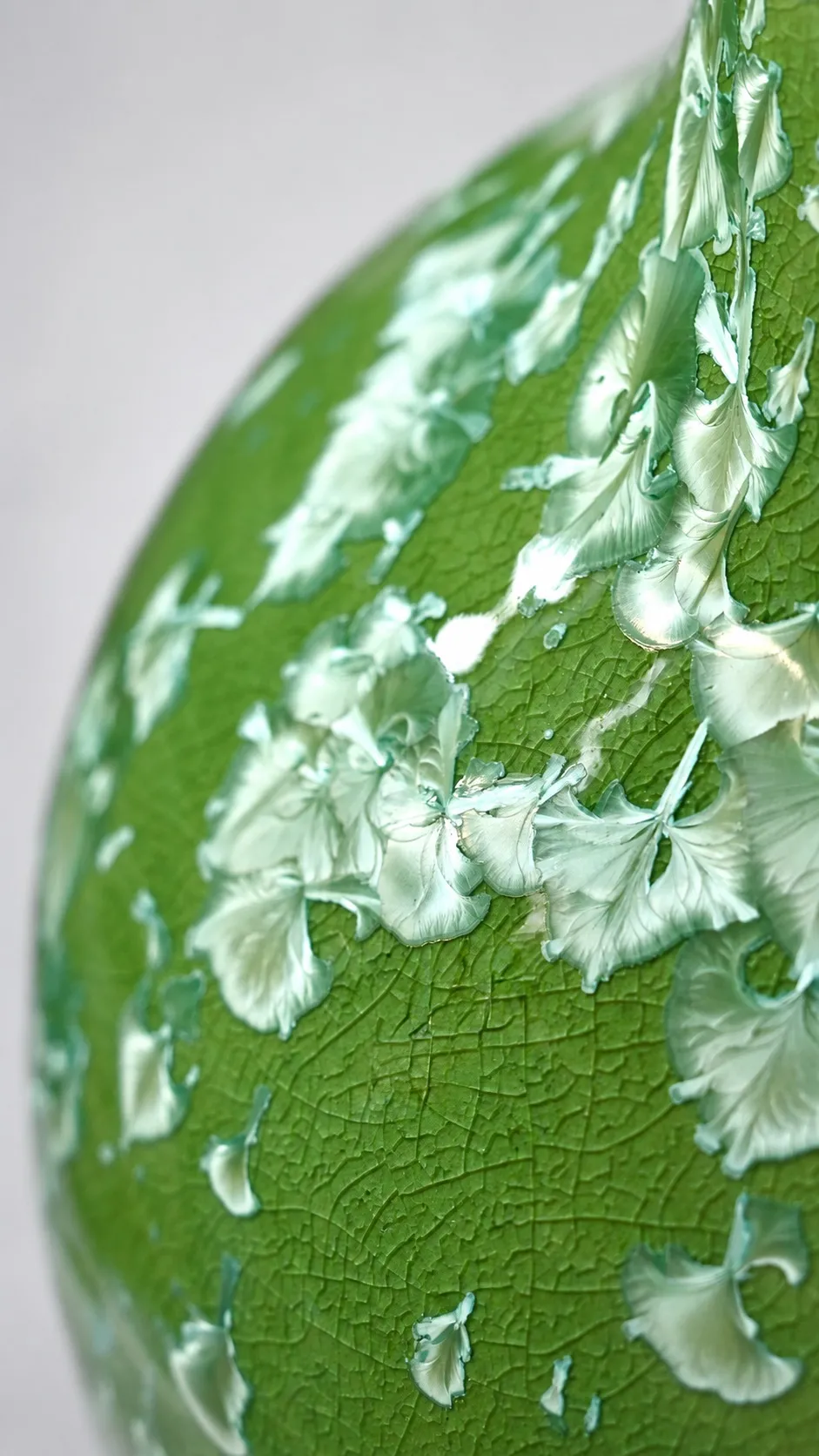 Close view of the bulbous body, mint-white crystals blooming across the deep green ground